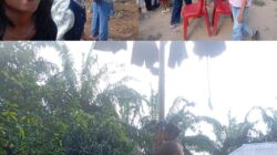 WARGA SUNGAI TAMONTAN RT 14 GELAR PANJAT PINANG SAMBUT IDUL ADHA 1447 H, DIHADIRI CALON KADES URUT 2 SYAMSUDIN*