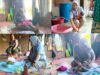 Kepedulian Yang Menyentuh Hati Dari Ibu Jaminah, istri Calon Kades Kemantan No.2 Samsudin (Bujang) Patut Menjadi Panutan